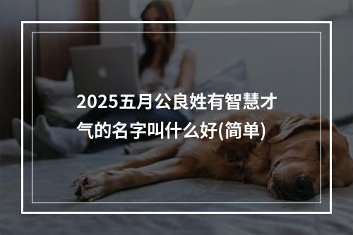 2025五月公良姓有智慧才气的名字叫什么好(简单)