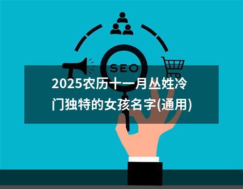 2025农历十一月丛姓冷门独特的女孩名字(通用)
