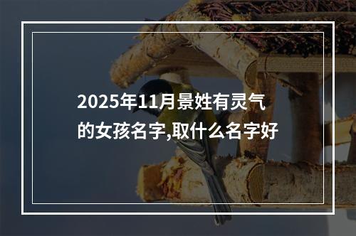 2025年11月景姓有灵气的女孩名字,取什么名字好