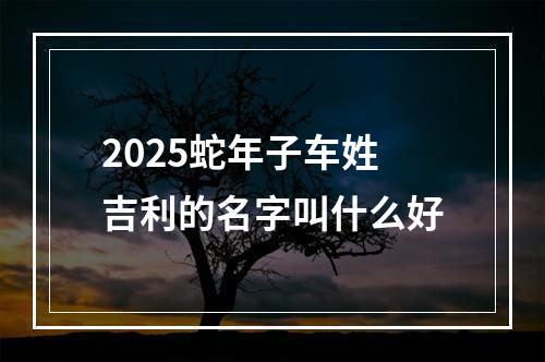 2025蛇年子车姓吉利的名字叫什么好