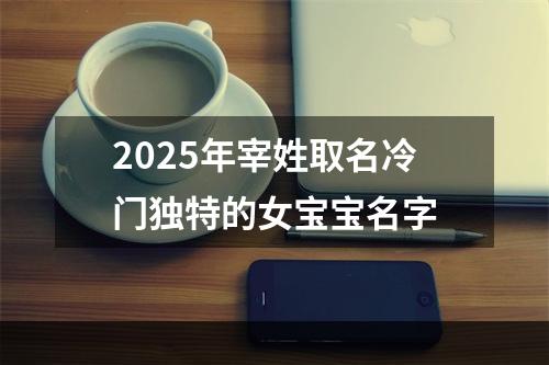2025年宰姓取名冷门独特的女宝宝名字