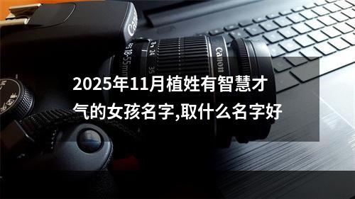 2025年11月植姓有智慧才气的女孩名字,取什么名字好