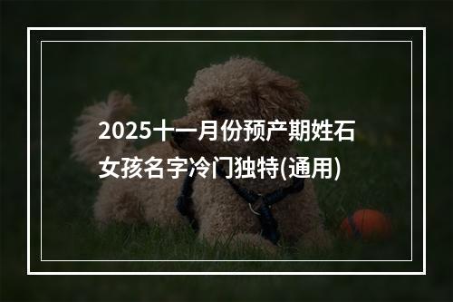 2025十一月份预产期姓石女孩名字冷门独特(通用)