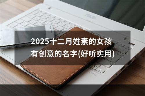 2025十二月姓素的女孩有创意的名字(好听实用)