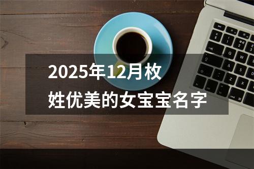 2025年12月枚姓优美的女宝宝名字