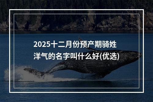 2025十二月份预产期骑姓洋气的名字叫什么好(优选)