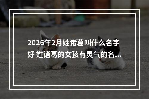 2026年2月姓诸葛叫什么名字好 姓诸葛的女孩有灵气的名字