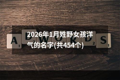 2026年1月姓野女孩洋气的名字(共454个)