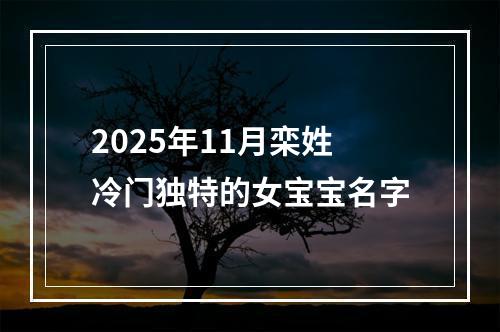 2025年11月栾姓冷门独特的女宝宝名字