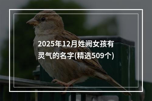 2025年12月姓阙女孩有灵气的名字(精选509个)