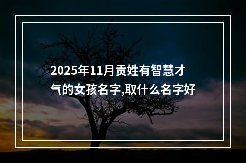 2025年11月贡姓有智慧才气的女孩名字,取什么名字好