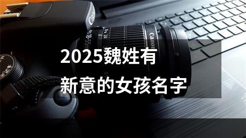 2025魏姓有新意的女孩名字