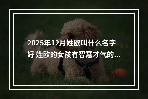 2025年12月姓欧叫什么名字好 姓欧的女孩有智慧才气的名字