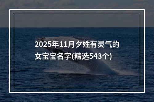 2025年11月夕姓有灵气的女宝宝名字(精选543个)
