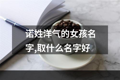 诺姓洋气的女孩名字,取什么名字好