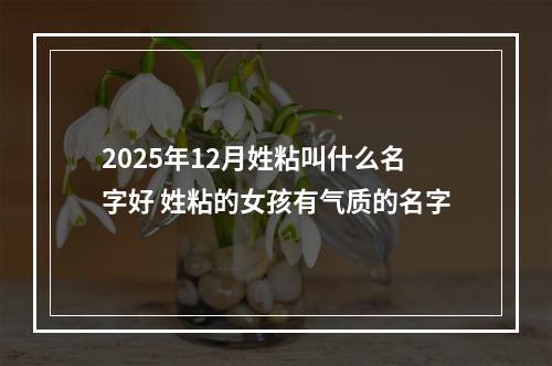 2025年12月姓粘叫什么名字好 姓粘的女孩有气质的名字