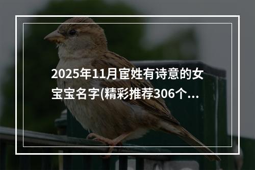 2025年11月宦姓有诗意的女宝宝名字(精彩推荐306个)