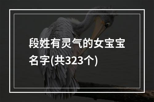 段姓有灵气的女宝宝名字(共323个)