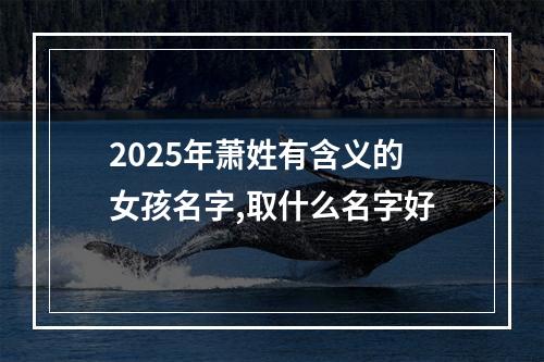 2025年萧姓有含义的女孩名字,取什么名字好