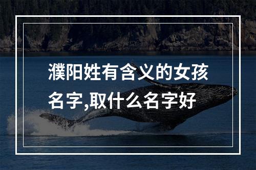 濮阳姓有含义的女孩名字,取什么名字好
