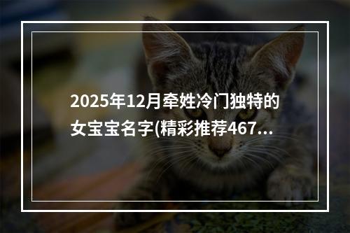 2025年12月牵姓冷门独特的女宝宝名字(精彩推荐467个)