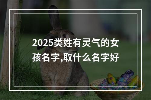 2025类姓有灵气的女孩名字,取什么名字好