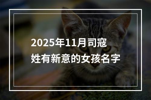 2025年11月司寇姓有新意的女孩名字