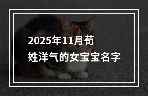 2025年11月荀姓洋气的女宝宝名字