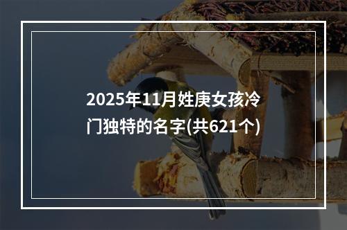 2025年11月姓庚女孩冷门独特的名字(共621个)