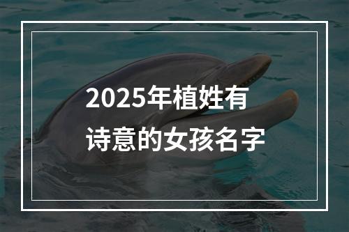 2025年植姓有诗意的女孩名字