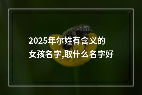 2025年尔姓有含义的女孩名字,取什么名字好