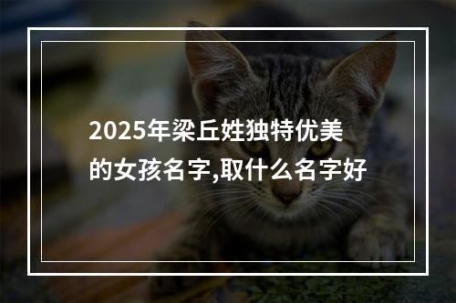 2025年梁丘姓独特优美的女孩名字,取什么名字好