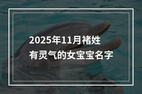 2025年11月褚姓有灵气的女宝宝名字