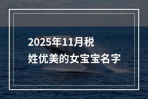 2025年11月税姓优美的女宝宝名字