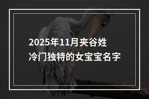 2025年11月夹谷姓冷门独特的女宝宝名字