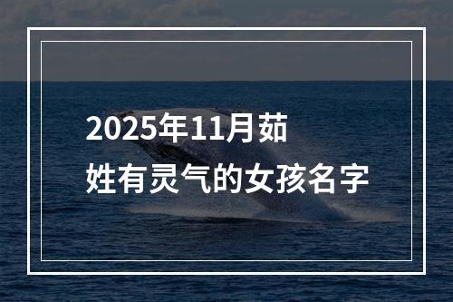 2025年11月茹姓有灵气的女孩名字