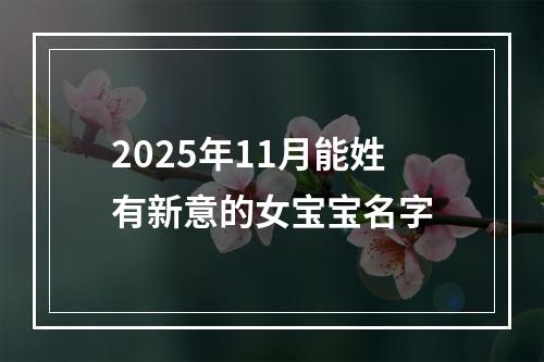2025年11月能姓有新意的女宝宝名字