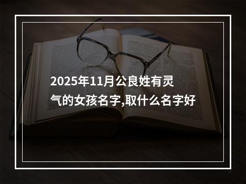 2025年11月公良姓有灵气的女孩名字,取什么名字好