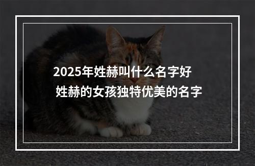 2025年姓赫叫什么名字好 姓赫的女孩独特优美的名字