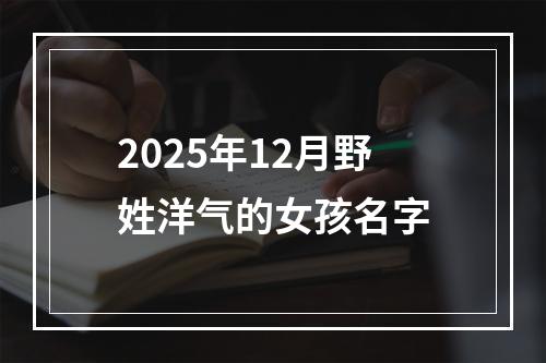 2025年12月野姓洋气的女孩名字
