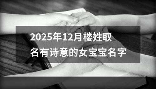 2025年12月楼姓取名有诗意的女宝宝名字