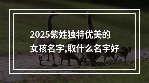2025紫姓独特优美的女孩名字,取什么名字好