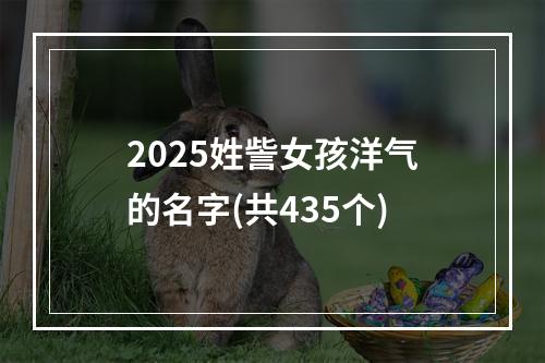2025姓訾女孩洋气的名字(共435个)