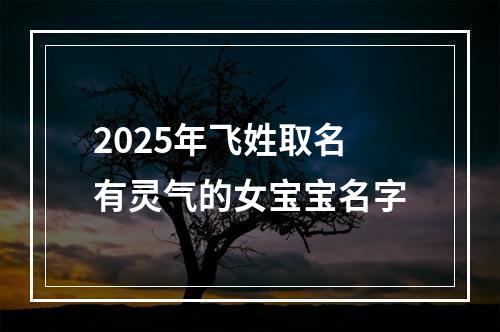 2025年飞姓取名有灵气的女宝宝名字