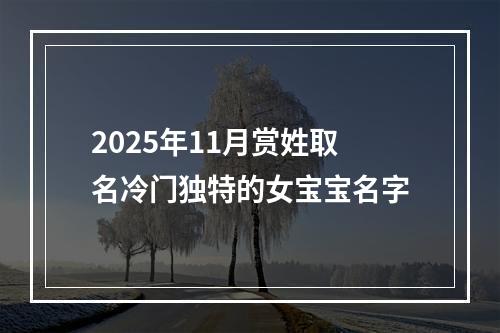 2025年11月赏姓取名冷门独特的女宝宝名字