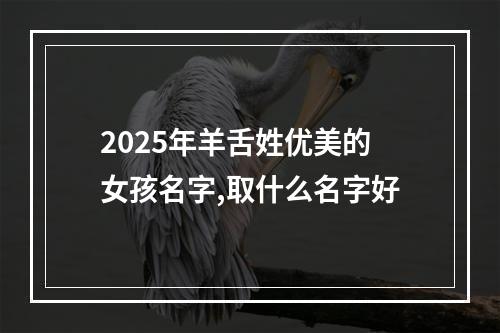 2025年羊舌姓优美的女孩名字,取什么名字好
