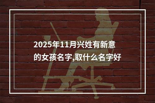 2025年11月兴姓有新意的女孩名字,取什么名字好