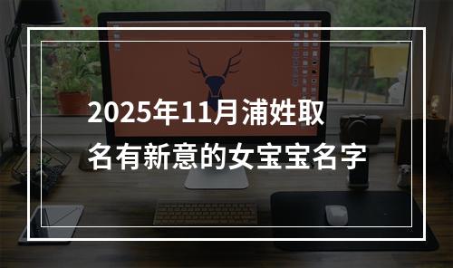 2025年11月浦姓取名有新意的女宝宝名字