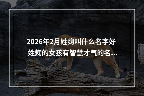 2026年2月姓麴叫什么名字好 姓麴的女孩有智慧才气的名字