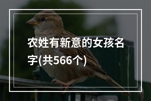 农姓有新意的女孩名字(共566个)
